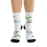 Sprout Academy Socks