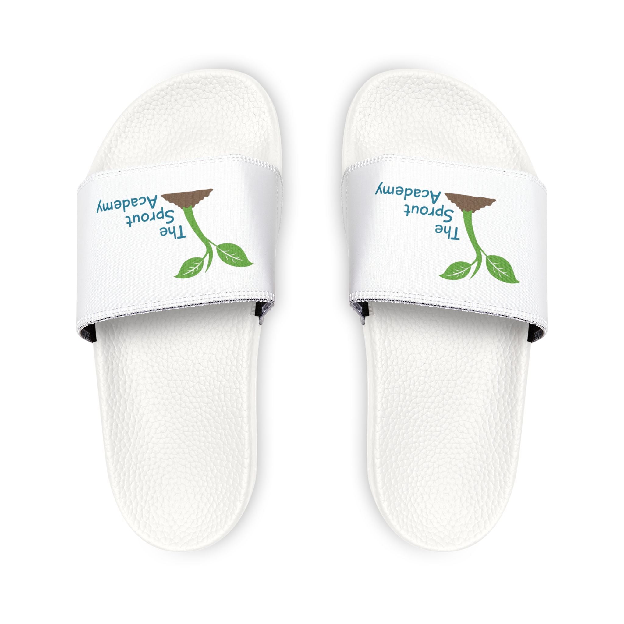 Sprout Academy Slides