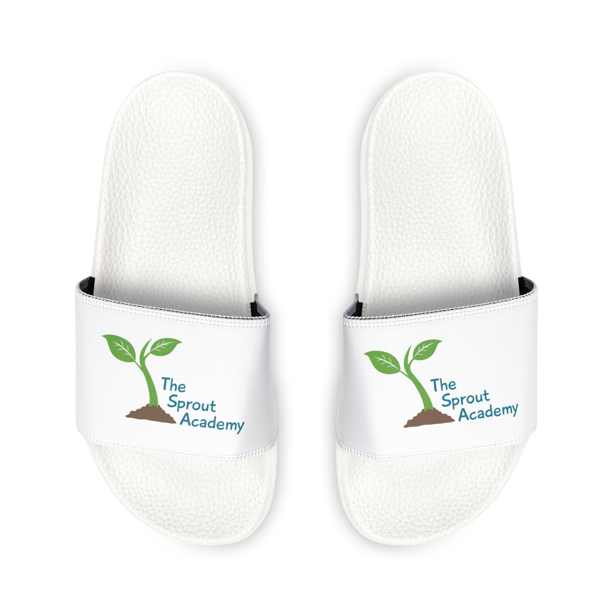 Sprout Academy Slides